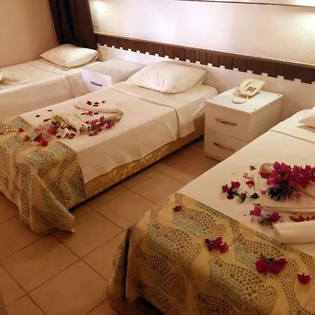 New 2 Bodrum